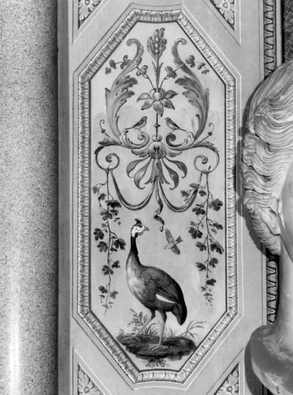 Tacchina e uccelli - Villa Borghese Pinciana, Roma